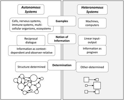 Not in the drug, not in the brain: Causality in psychedelic experiences from an enactive perspective